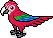 br_c25_parrot4 name