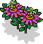 br_c25_passionflower3 name