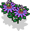 br_c25_passionflower4 name
