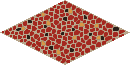 br_c25_ptfloor name