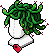 Medusa saç