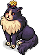 Koyu Elegant Kedi