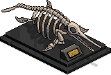 Ichthyosaur İskeleti