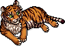 Bengal Kaplanı