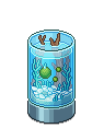 Marimo Akvaryumu