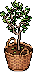 recycler_baskettree name