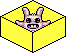 test_ltd name
