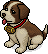Stevie St.Bernard