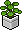 Lime Para Bitkisi